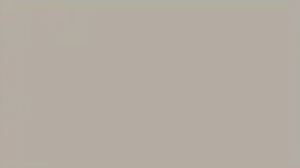 Birch Grey — Concrete Colour Solutions in Morisset, NSW