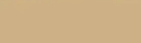 Wheat — Concrete Colour Solutions in Morisset, NSW