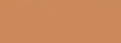 Coral — Concrete Colour Solutions in Morisset, NSW