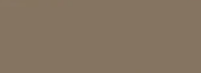 Sahara — Concrete Colour Solutions in Morisset, NSW