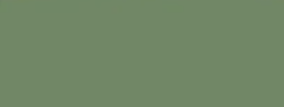 Pale Eucalypt — Concrete Colour Solutions in Morisset, NSW
