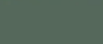 Wilderness — Concrete Colour Solutions in Morisset, NSW