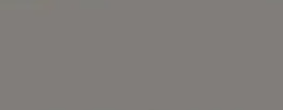 Wallaby — Concrete Colour Solutions in Morisset, NSW