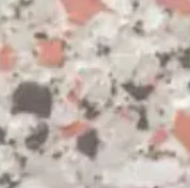 Champagne L — Concrete Colour Solutions in Morisset, NSW