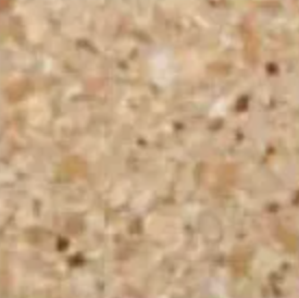 Oatmeal S — Concrete Colour Solutions in Morisset, NSW