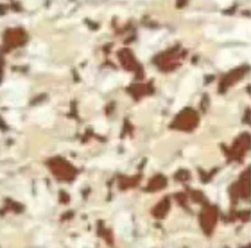 Fox S — Concrete Colour Solutions in Morisset, NSW