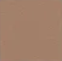 Ginger (1) — Concrete Colour Solutions in Morisset, NSW