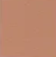 Pumpkin (1) — Concrete Colour Solutions in Morisset, NSW