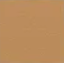 Sandstone (1) — Concrete Colour Solutions in Morisset, NSW
