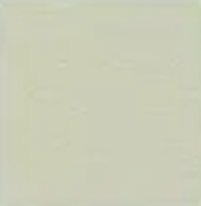Limestone (2) — Concrete Colour Solutions in Morisset, NSW
