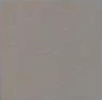 Sepia (1) — Concrete Colour Solutions in Morisset, NSW