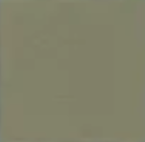 Everglade (1) — Concrete Colour Solutions in Morisset, NSW