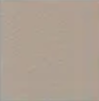 Papyrus (1) — Concrete Colour Solutions in Morisset, NSW