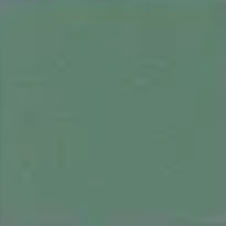Leaf Green (1) — Concrete Colour Solutions in Morisset, NSW