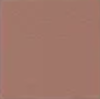 Aztec (1) — Concrete Colour Solutions in Morisset, NSW