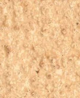 Sandy Beige — Concrete Colour Solutions in Morisset, NSW
