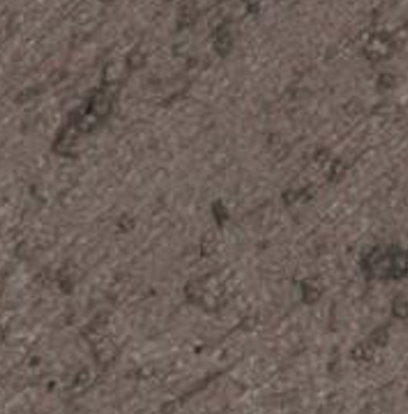Fossil — Concrete Colour Solutions in Morisset, NSW