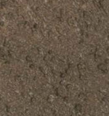 Reptile — Concrete Colour Solutions in Morisset, NSW