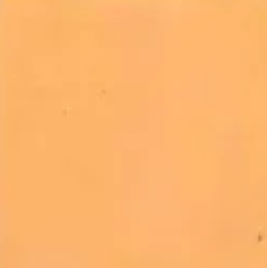 Beige — Concrete Colour Solutions in Morisset, NSW