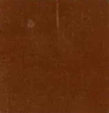 Light Brown — Concrete Colour Solutions in Morisset, NSW