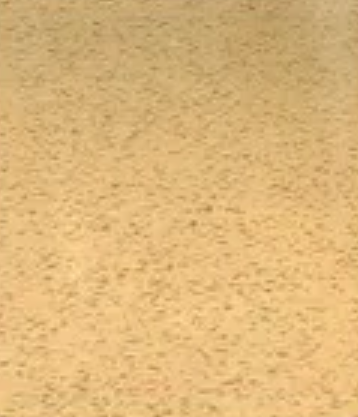 Polished Concrete — Concrete Colour Solutions in Morisset, NSW
