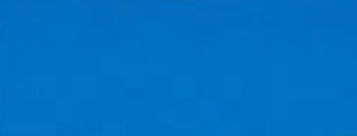 Bluebell B41 — Concrete Colour Solutions in Morisset, NSW