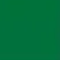 Forest Green — Concrete Colour Solutions in Morisset, NSW