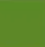 Fern — Concrete Colour Solutions in Morisset, NSW