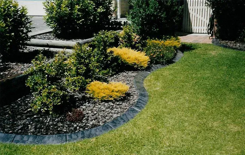 A lush green lawn with a black border and a white gate in the background — Concrete Colour Solutions in Morisset, NSW