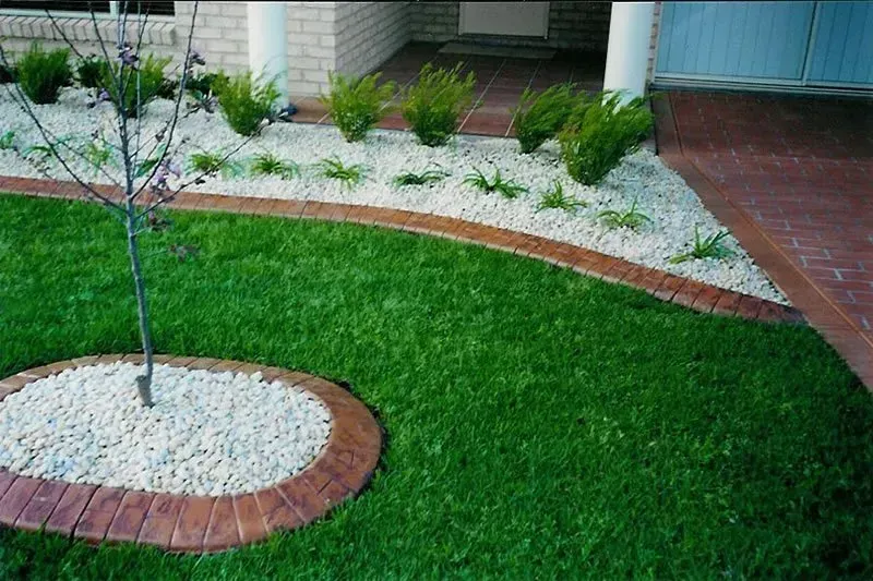 A lush green lawn with a tree in the middle — Concrete Colour Solutions in Morisset, NSW