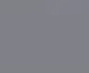 Earl Grey — Concrete Colour Solutions in Morisset, NSW
