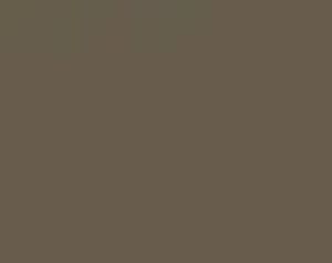 Jasper — Concrete Colour Solutions in Morisset, NSW