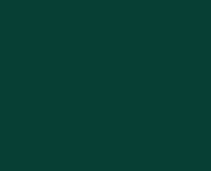 Mid Brunswick Green — Concrete Colour Solutions in Morisset, NSW