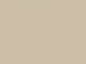 Paperbark — Concrete Colour Solutions in Morisset, NSW