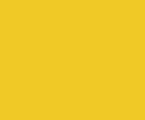 Safety Yellow — Concrete Colour Solutions in Morisset, NSW