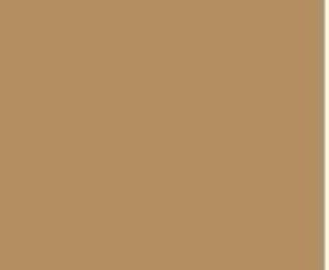 Sandstone — Concrete Colour Solutions in Morisset, NSW