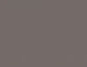 Wallaby — Concrete Colour Solutions in Morisset, NSW