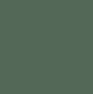 Wilderness — Concrete Colour Solutions in Morisset, NSW