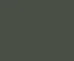 Woodland Grey — Concrete Colour Solutions in Morisset, NSW