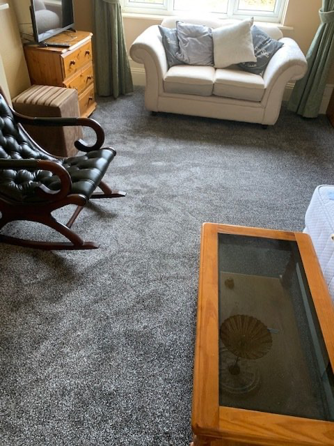 plain carpets