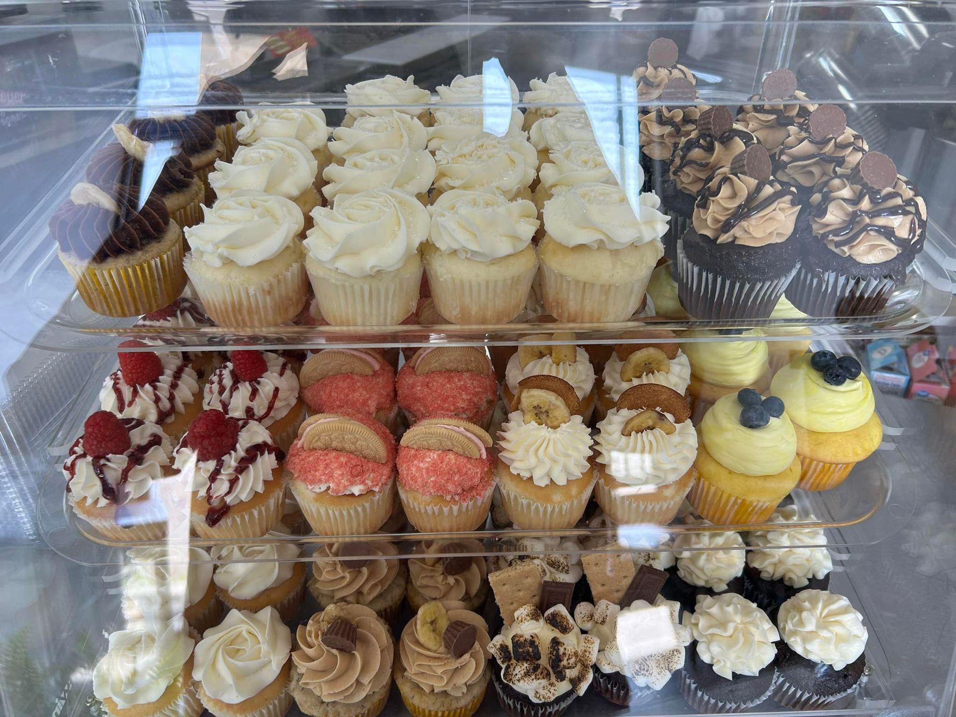Cupcakes in a display case: white frosting, red berries, and other toppings.