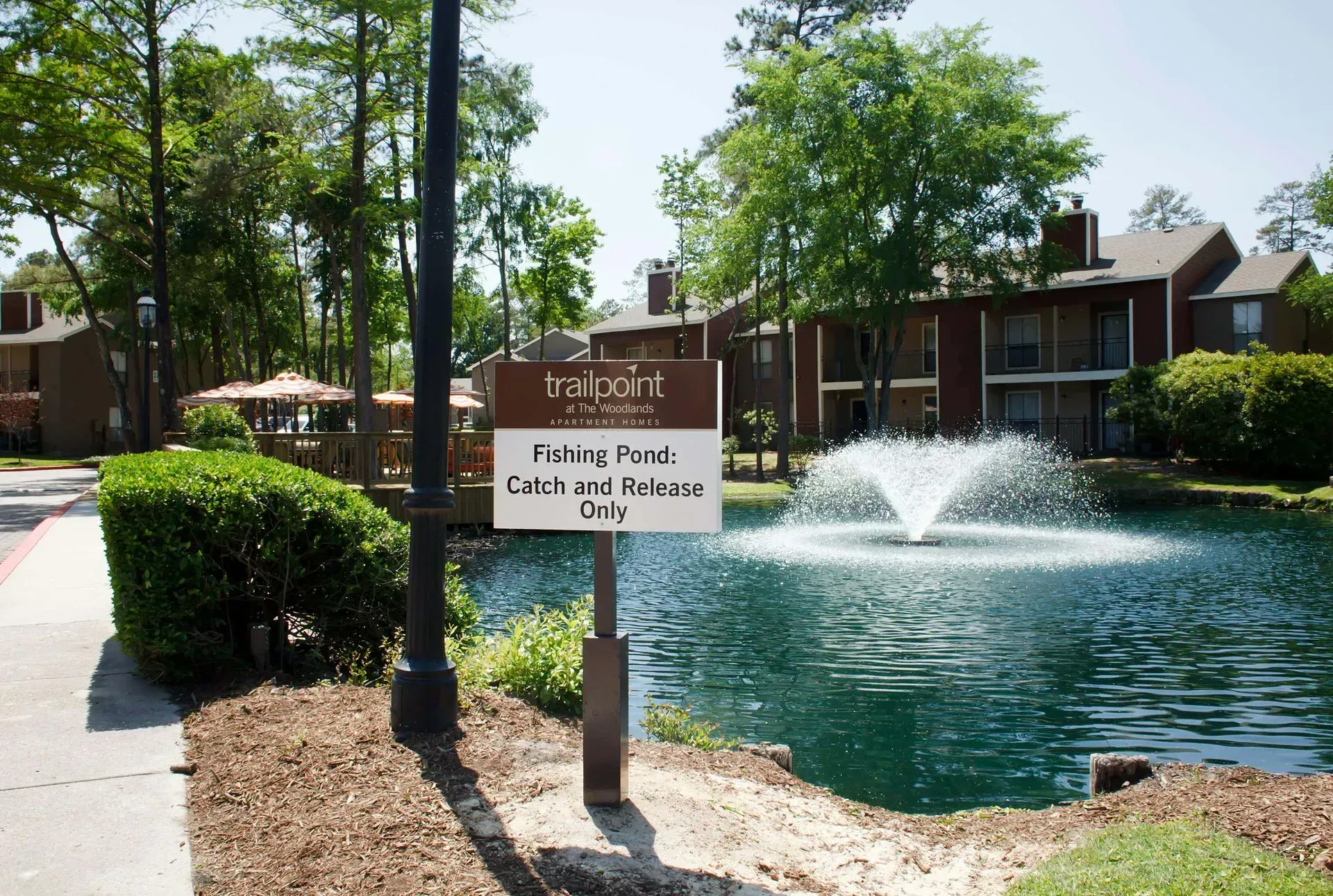 Pond with fountain at an apartment community, with trees and residential buildings in the background.