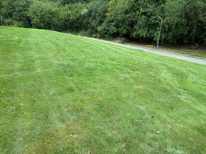 CDTS's largest hydroseeder, a 6,000-litre Finn lorry-mounted unit, applying hydraulic seeding mulch to a steep embankment.