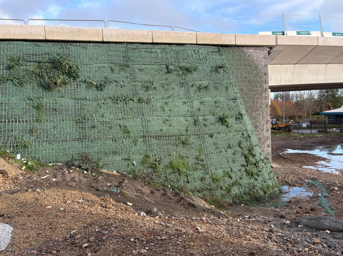 Green-covered retaining wall supports a road or bridge; the wall is next to wet dirt.