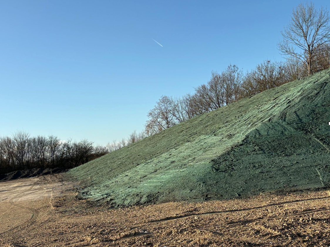 Green-covered hillside with sparse trees under a clear blue sky. Earthy foreground.