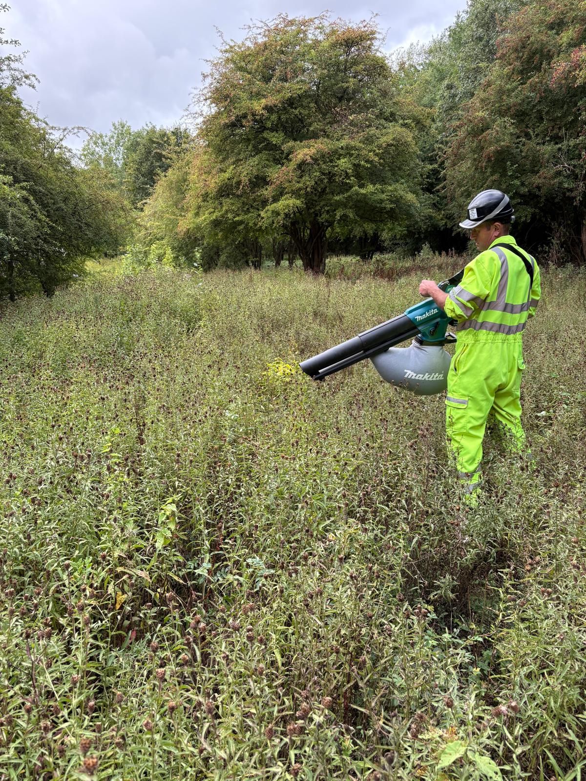 Collecting local seed provenance for a BNG seeding project.