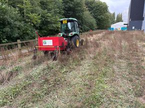 Freshly hydroseeded embankment alongside a SUDS pond at Daresbury, showing green-dyed hydromulch applied to slopes