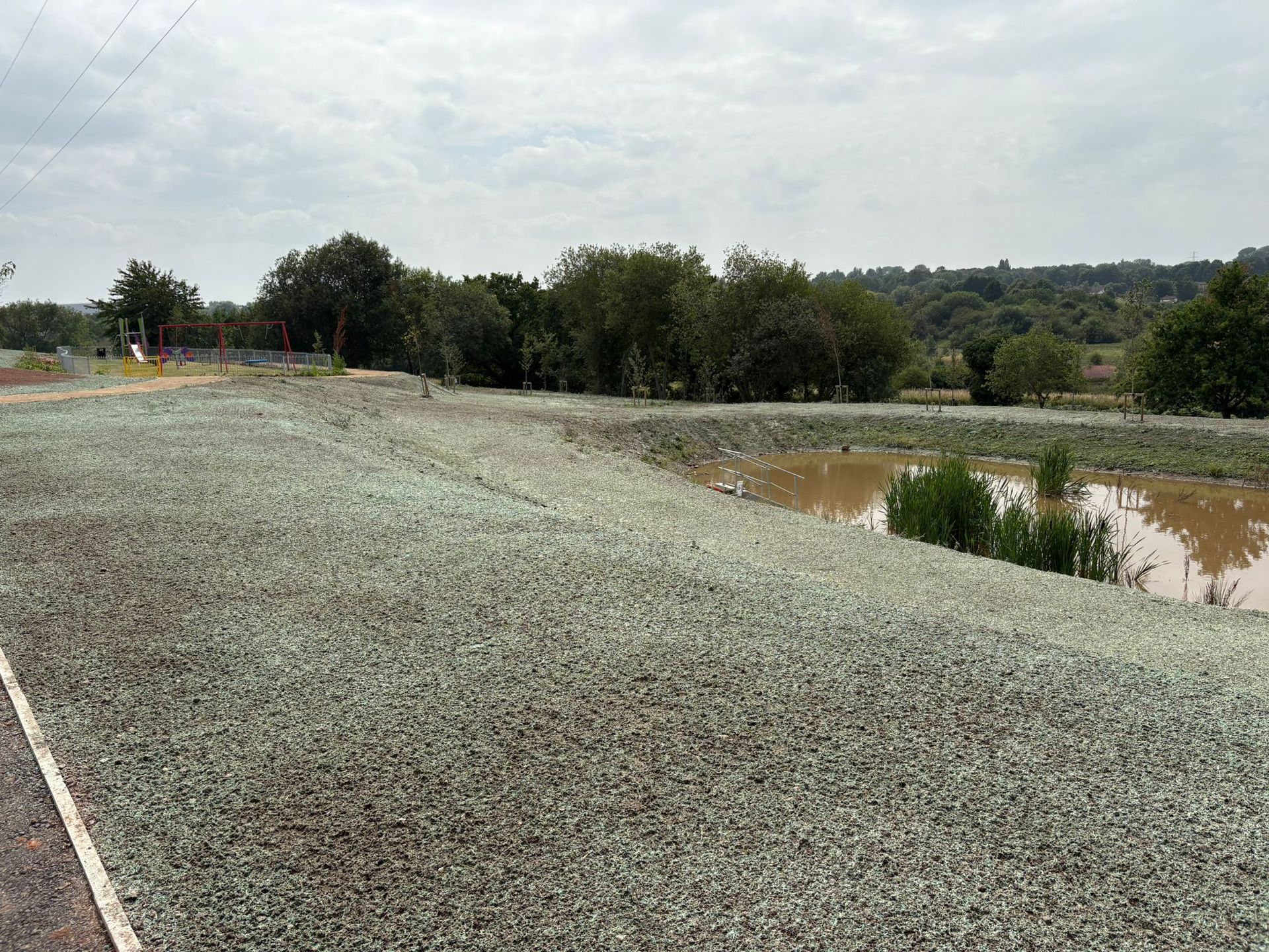 Freshly hydroseeded embankment alongside a SUDS pond at Daresbury, showing green-dyed hydromulch applied to slopes