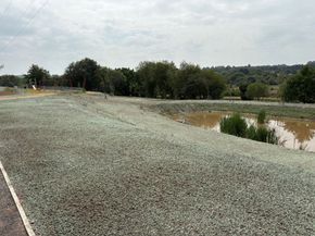 Freshly hydroseeded embankment alongside a SUDS pond at Daresbury, showing green-dyed hydromulch applied to slopes