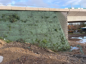 A hydroseeded wall along a pedestrain bridge. The application of BFM and subsequent germination allowed for zero erosion. 
